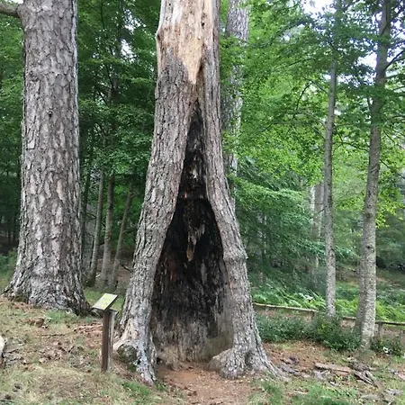 Nocleg ze śniadaniem Terra Del Sorriso *