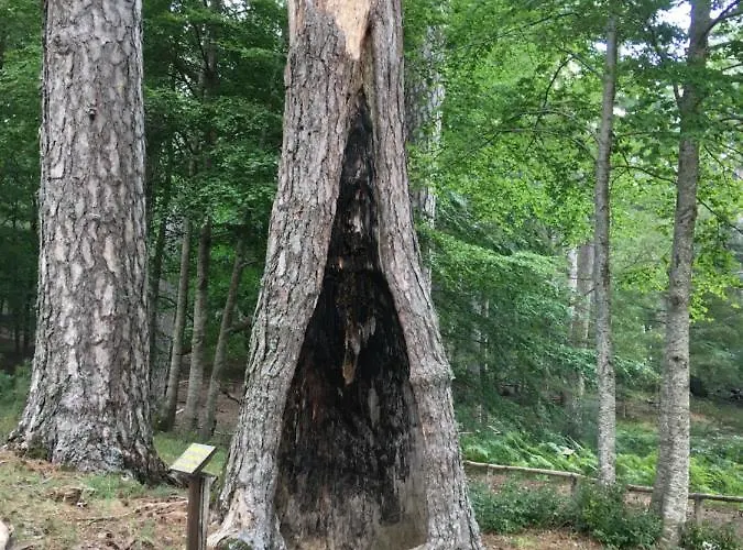 Panzió Terra Del Sorriso *