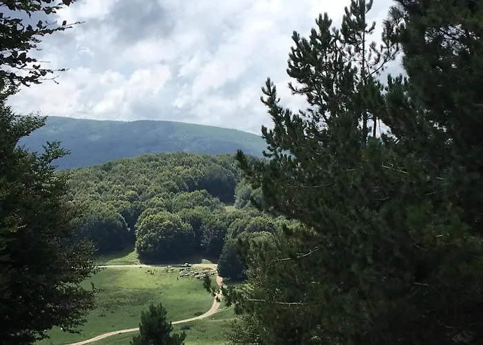 Terra Del Sorriso Bed & Breakfast *