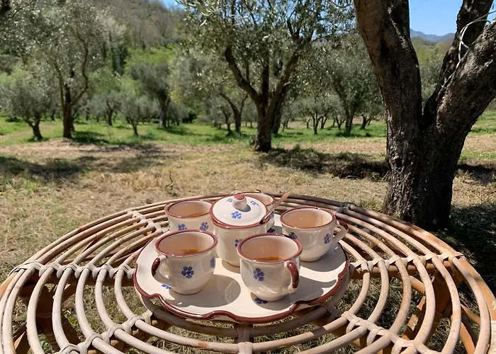 Terra Del Sorriso Panzió